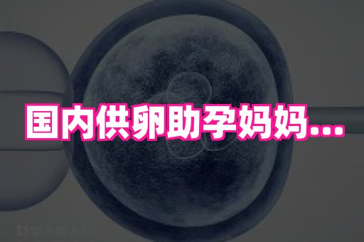 69助孕网 1