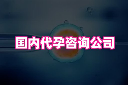69助孕网 3